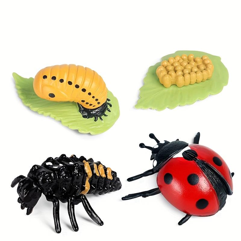 Simulation Animal Model Insect Growth Cycle Model Set, Suitable For Home Decoration, Desktop Ornaments, Children'S Cognition