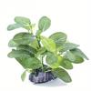 1PC Simulated Water Plants Turtle Tank Scenery Aquarium Fish Tank Decoration Sunken Wood