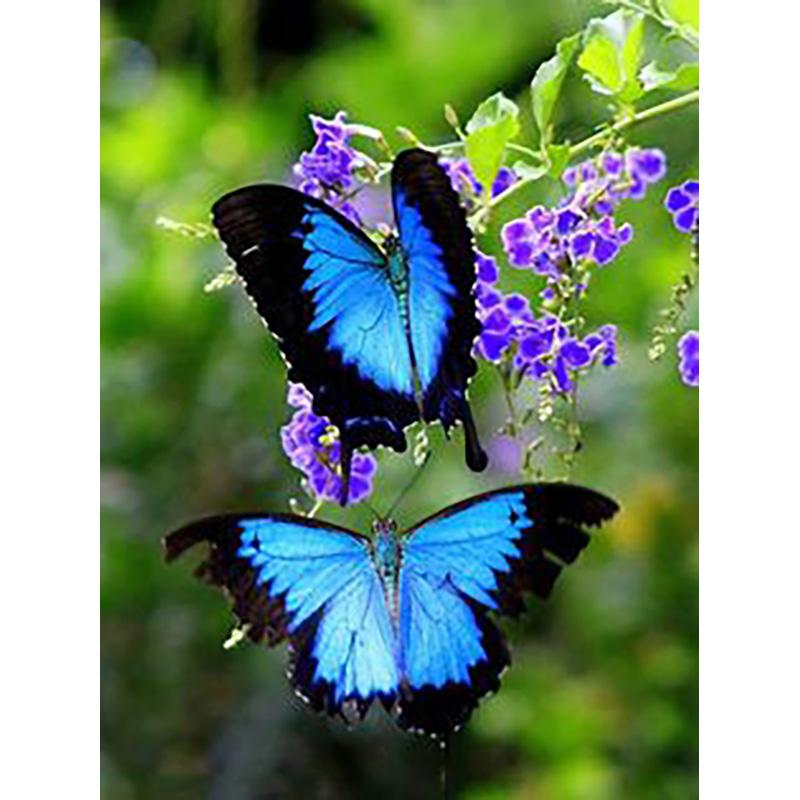 DIY 5D Diamond Painting Butterfly Full Round Drill Floral Diamond Embroidery Cross Stitch Mosaic Wall Art Home Decor Gift