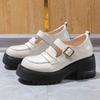 Soft Leather Thick Heel Pumps All-match Casual British Style Mary Janes Platform Shoes for Women 2024 New Fashion Spring Autumn