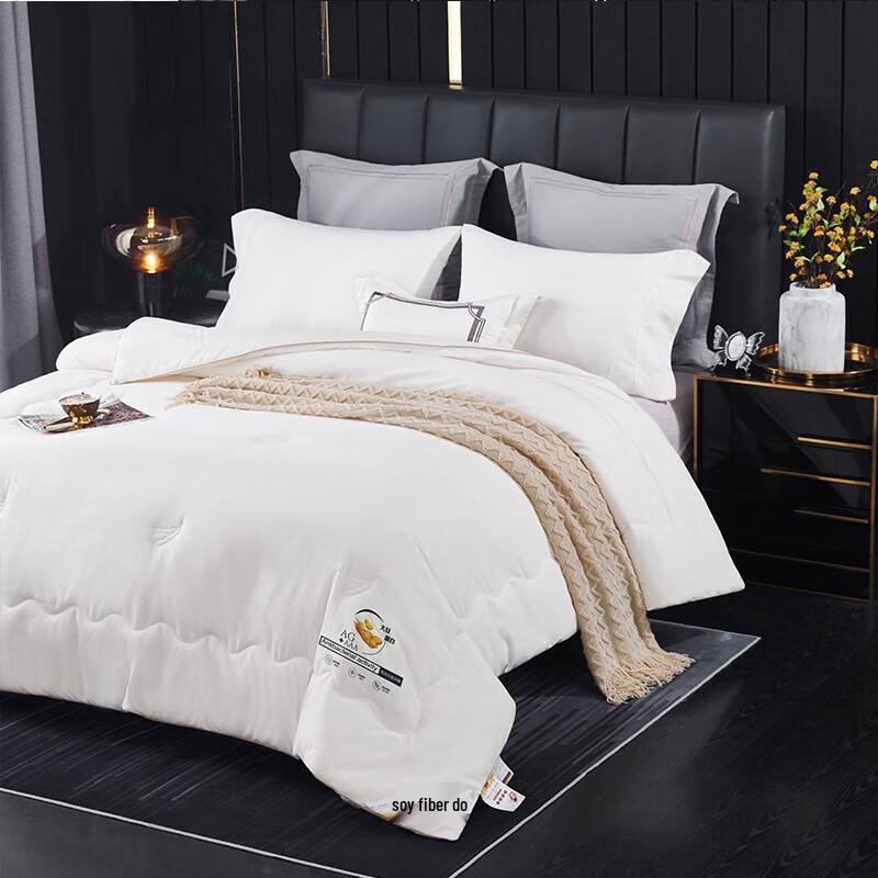 Tangna Selected Soybean Fiber Antibacterial Quilt
