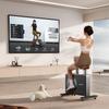 MERACH Shadow Exercise Bike CN plug (adapter included)