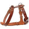 Echtes Leder Hundegeschirr Braun Echtes Leder Hunde Lauf-Trainingsweste Verstellbare Riemen Mittel Groß Pitbull Boxer Mastiff