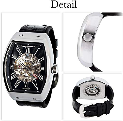 [Daniel & Douglas] DD8808 Analog Watch, Automatic/Manual Winding, Skeleton, Brand Name, Men's (Rainbow Black/Gold)