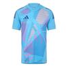 adidas Mens Tiro 24 Pro T-Shirt