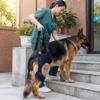 Adjustable Dog Rear Leg Support Breathable Dog Lift Harness  Mobility Aid