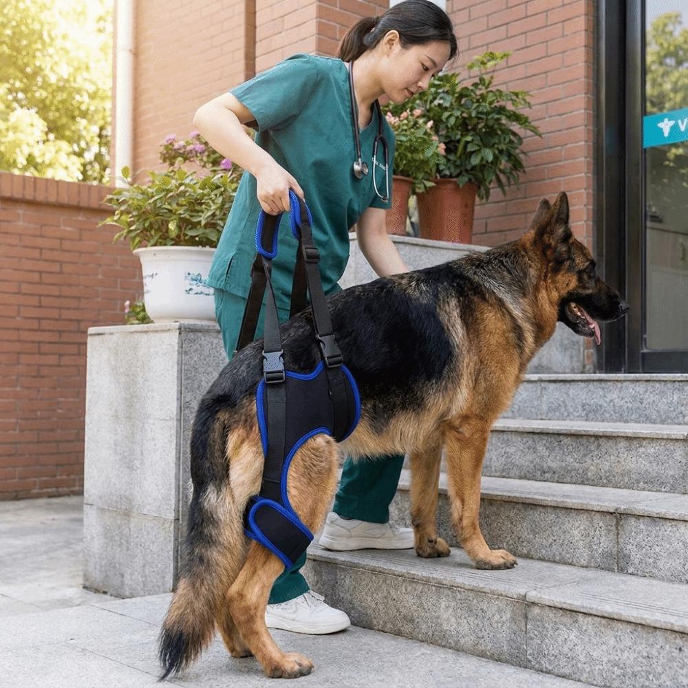 Adjustable Dog Rear Leg Support Breathable Dog Lift Harness Mobility Aid
