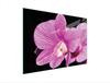 SZKLANA DESKA DO KROJENIA 40x30 ORCHIDEA