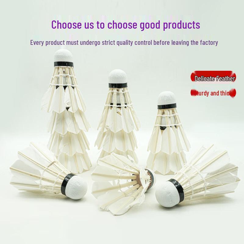 Shengwei Duck Feather Badminton Shuttlecocks (12-Pack)