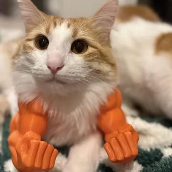 2Pcs Cat Muscular Arm Costume Cat Neck Arm with Muscle 3D Printed Superhero Cosplay Pet Spoof Toy Funny Cat Photo Prop Accessory
