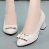 Fashion Women Pump Spring Shallow Mouth Thick Heels Shoes Soft Leather Metal Decoration Crystal Sweet Classic Fashion Single Shoes