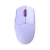 OLOEY Dual-Mode Wireless Bluetooth Rechargeable Mouse