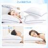 HAODEMI Hotel-Quality Soft Pillow, Suitable for Side, Back, and Stomach Sleepers, Fully Washable, Double-Sided Bedding Pillow, 634320cm, White Pillow