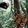 1/2pcs Portable Wire Saw, Stainless Steel Survival Chain Saw for Camping, Hiking, Cutting Wood, Trees & Branches, Outdoor Tool