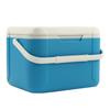 Cooler Box 18L Portable Ice Drinks Food Cooler Freezer Box with Handle for Outdoor Camping