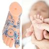1 Paar 15 cm Fußreflexzonen-Massage-Modell kein Akupunktur-Modell Chinesischer und Englischer Code TCM Fußreflexzonenmassage