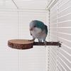 Parrot Stand, Bird Table Tennis Platform, Totoro Teething, Apple Wood Jump Platform, Squirrel Wooden Stand Pole, Sugar Glider Jump Pole