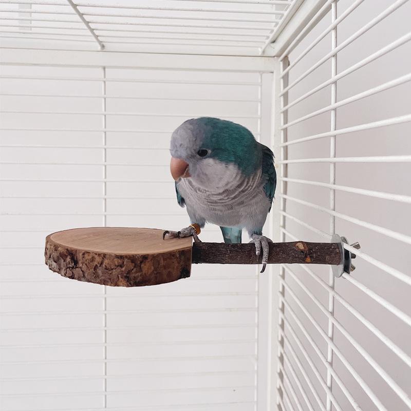 Parrot Stand, Bird Table Tennis Platform, Totoro Teething, Apple Wood Jump Platform, Squirrel Wooden Stand Pole, Sugar Glider Jump Pole
