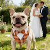 1pack Wedding Dog Tuxedo Bandanas Bow Tie Adjustable Dog Costumes for Small Dogs Pet Outfit Prince Wedding Attire Party Clothes