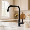 Stainless Steel Kitchen Faucet Convenient Universal Rotatable Spout Faucet Wall-mounted Black Single Cold Water Tap Bathroom