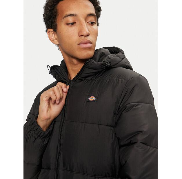 Зимняя куртка Dickies Waldenburg DK0A4YEY, черная, стандартного кроя