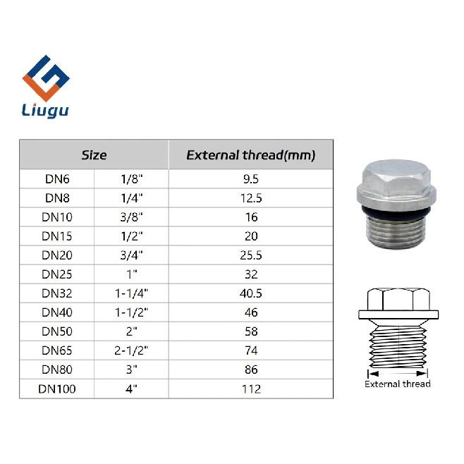 Hexagonal Flange End Cap 1/8 "1/4" 3/8 "1/2" 3/4 "1" -2 "BSP Male Thread 304 Stainless Steel Pipe Fitting - Oil Plug, Pipe Plug