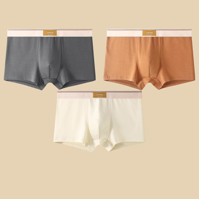 Herren Unterwäsche Hombre Slips Boxershorts Bequeme Atmungsaktive Baumwollunterwäsche Sexy Unterwäsche Einfarbige Boxershorts