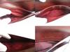 Authentic Cartier Must de Cartier Bordeaux Leather Bifold Long Wallet #a852  Refurbished