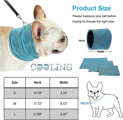 Bekleidung & Schuhe – Hundezubehör