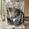 Sleeping Kitten Under Stars Theme blanket Lightweight Warm Flannel Blanket Decorative Throw Blanket for Home Decoration