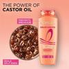 L'Oreal Paris Restoring Shampoo 340 ml | Nourishes | Repair & Shine | For Long and Lifeless Hair | Dream Lengths