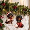 Personaliserede Julemotiv Ornamenter 2026 Gravhund Adventskalender, 24 Dage Akryl Baseball Hundefigurer til Ophængning på Træ Jule Nedtælling