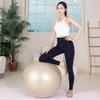 Anti-Burst Gym Ball 65cm Pregnancy Exercise Balance Ball