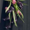 New Bride Wedding Bouquet - Lily & Rose Bridal Simulation Bouquet