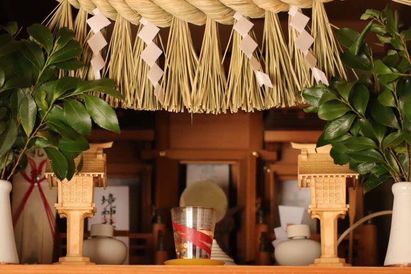 Premium Preserved Sakaki | Unwanted, Never-withering Sakaki Made from Real Sakaki