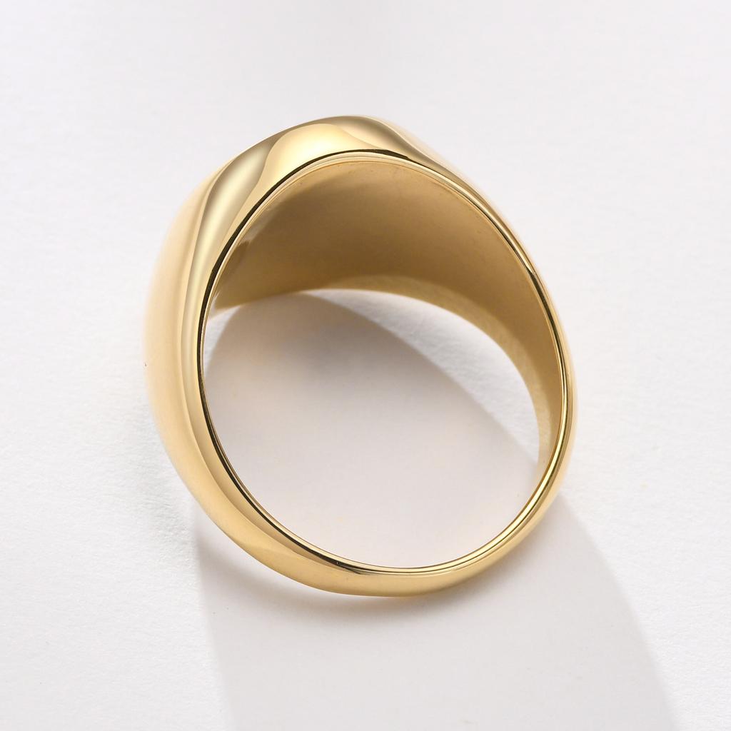 Siegelring aus Edelstahl mit Vergoldung für Herren Schmuck, Runde Ringe Geschenk für Jugendliche
