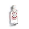 ROGER & GALLET Woda perfumowana? Woda toaletowa Ginger Rouge 100ml Ginger Rouge