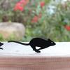 Metal Cat Garden Sign Easy Installation Cat Chasing Mouse Ornament Black