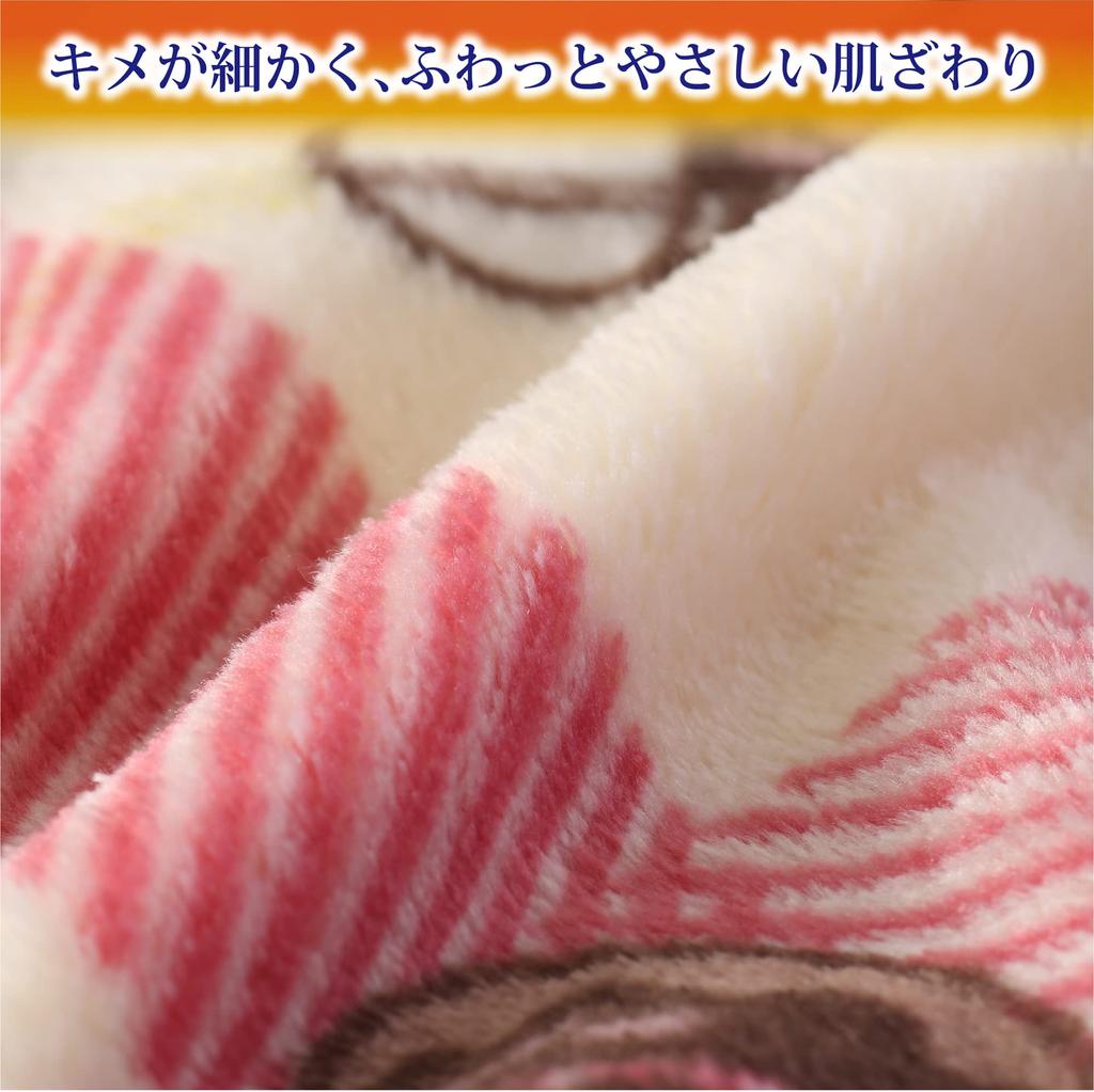 Nishikawa Snoopy Cafe Pattern FQ02505035 Blanket, Single, Washable, Check, Red,