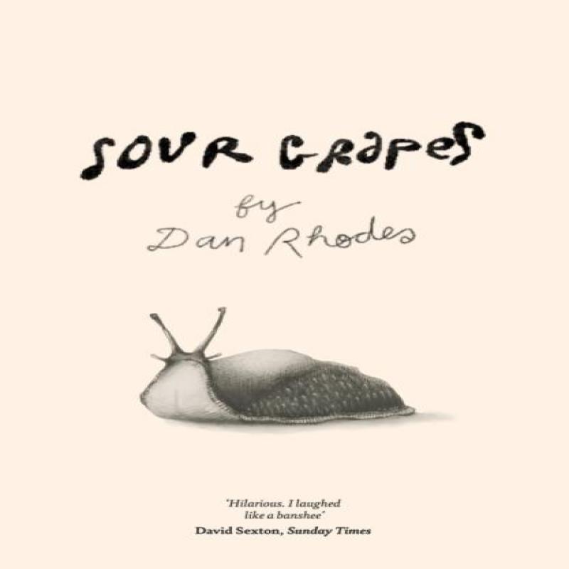 Sour Grapes by Dan Rhodes Paperback Book 9781785633058