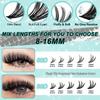 D Curl Cluster Lashes Book: 20D/30D/60D/80D Large Capacity False Eyelashes