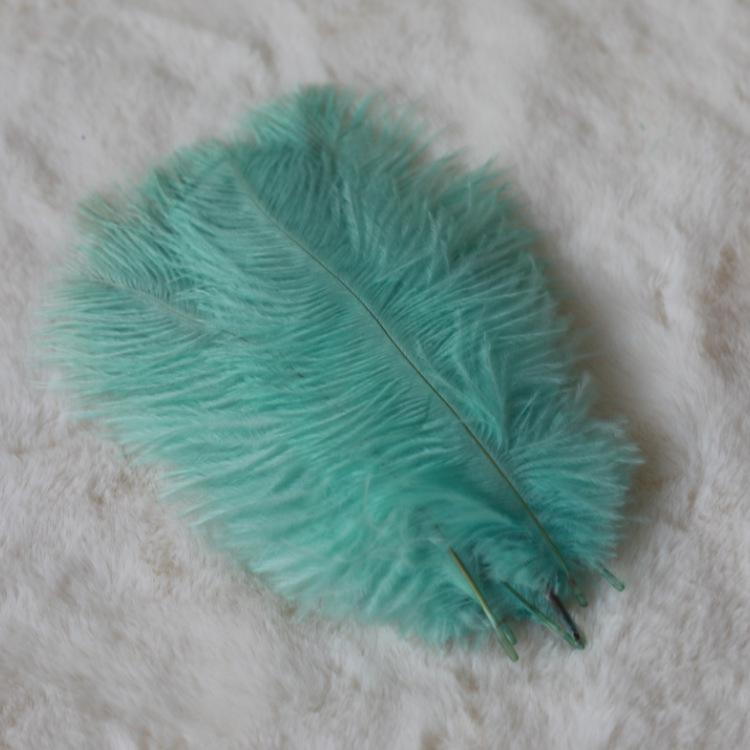 24 Colors 15-20Cm Ostrich Feather, Hotel Wedding Window Home Decoration Ostrich Feather