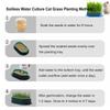 Cat Grass Planter Hydroponic Cat Grass Growing Kit No Seeds Included  Catnip Wheatgrass Seed Sprout Tray Nursery Plant Planting Box for Indoor Cats