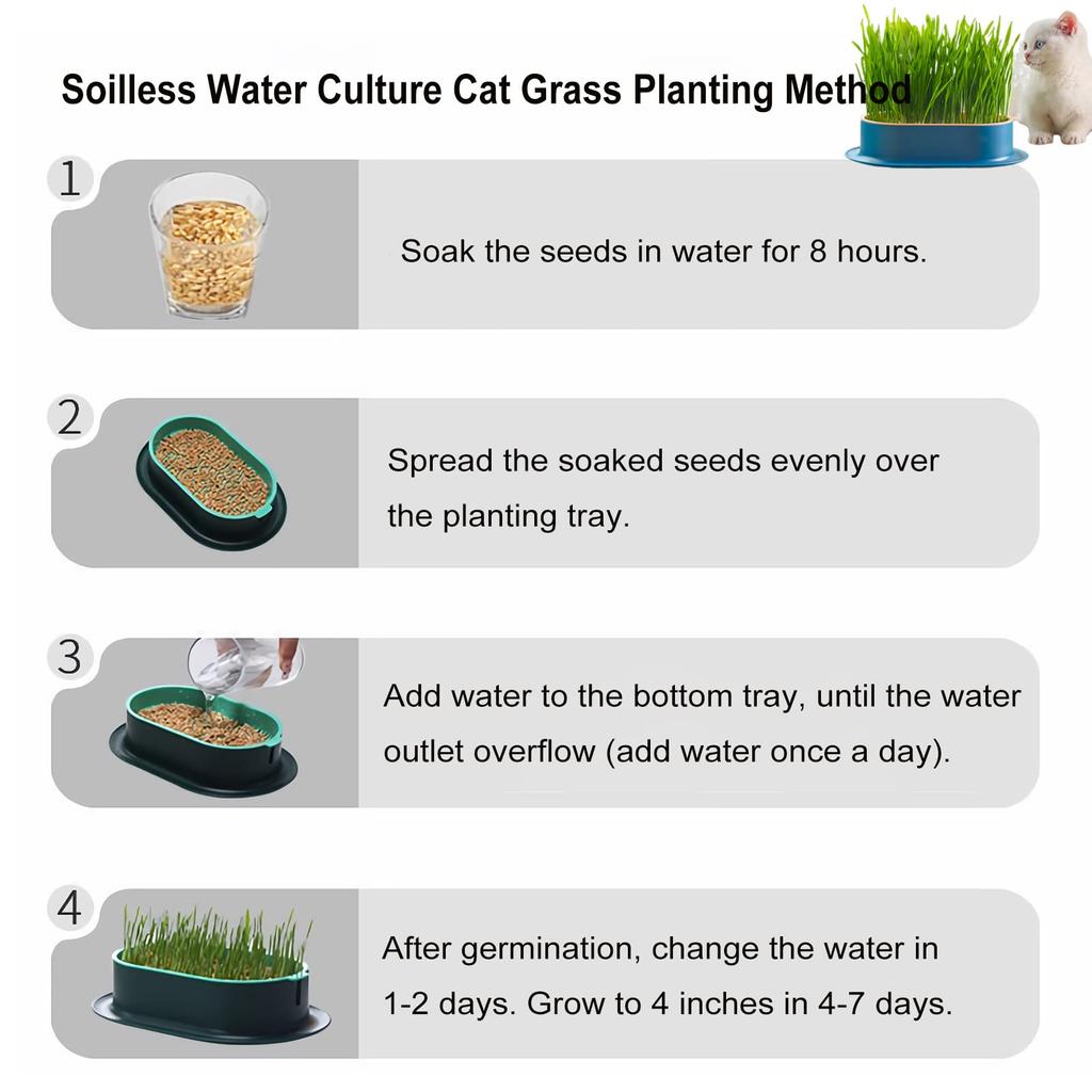 Cat Grass Planter Hydroponic Cat Grass Growing Kit No Seeds Included  Catnip Wheatgrass Seed Sprout Tray Nursery Plant Planting Box for Indoor Cats