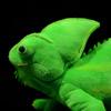 15-inch Green Chameleon Plush Toy, Realistic Chameleon, Perfect Gift for Kids