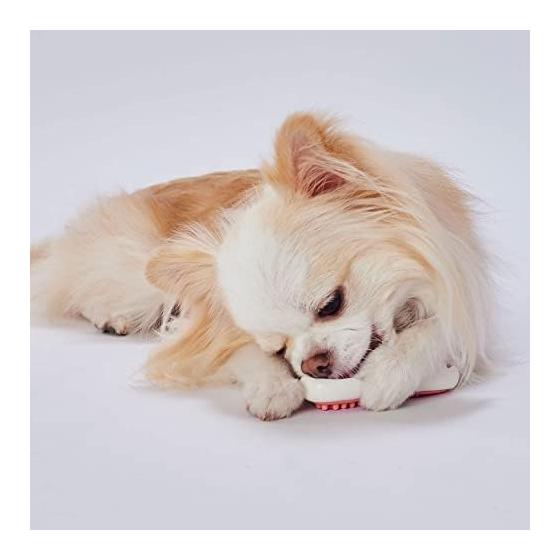 Petio Dog Toy Kandel Bone Dental S Hard Ripe Strawberry Flavor