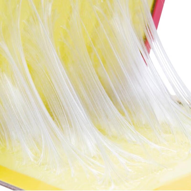 Rainbow Sticky Mouse Trap Boards