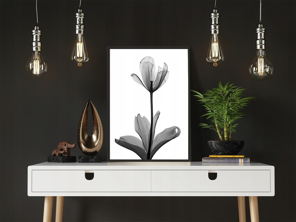 Picture Poster In a Frame 53x73 Cm Flower P1041