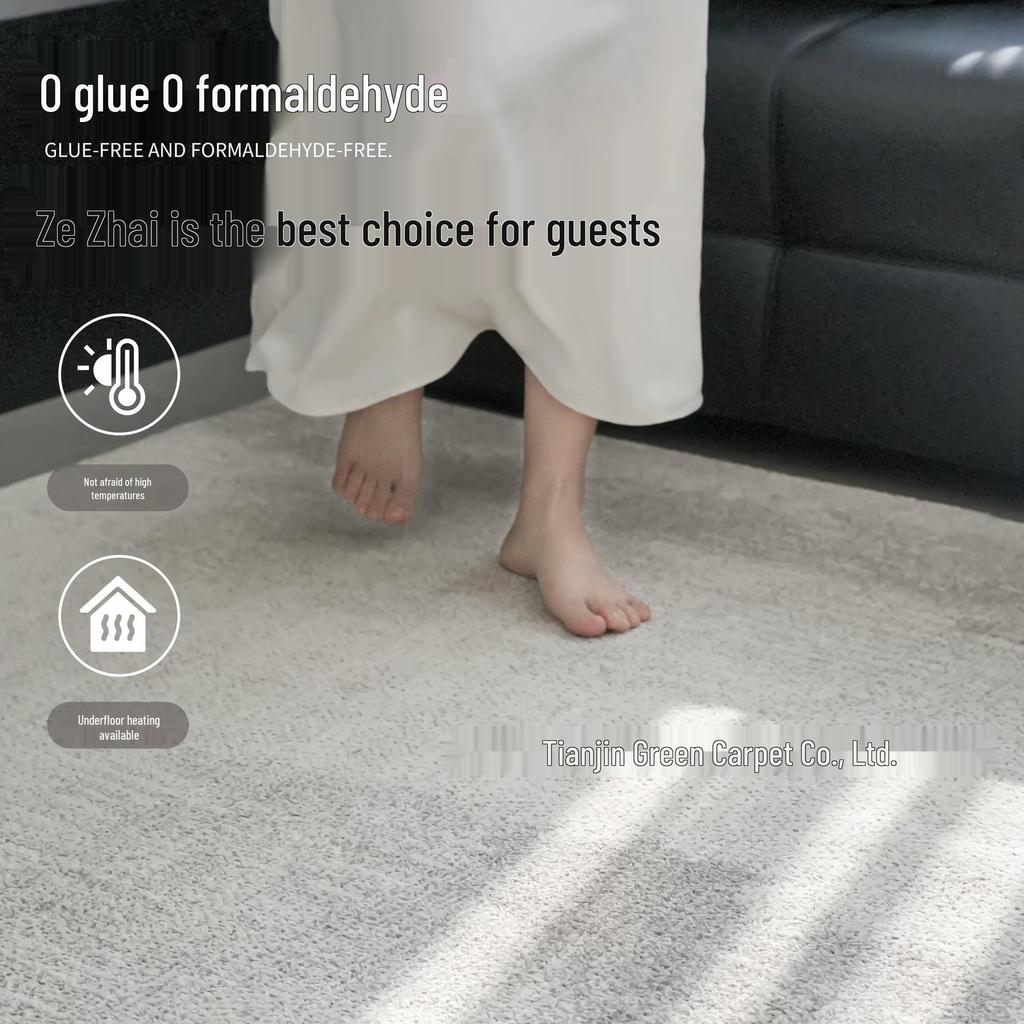 Antibacterial Waterproof Wash-Free Minimalist Luxury Living Room and Bedroom Rug
