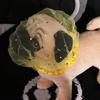 Face Cover Dog Anti-Eating Headgear Anti-accidental Dog Protective Veil  for Outdoor Use